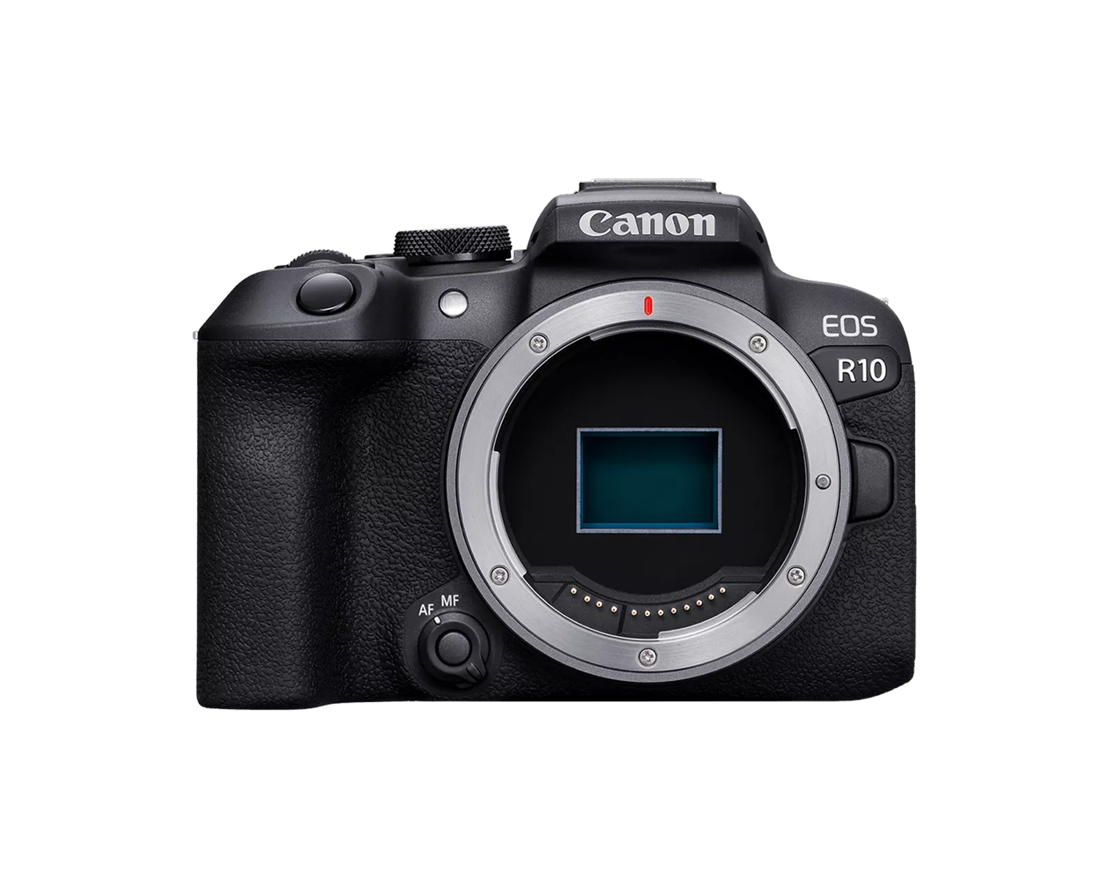 Canon R10 + RF 50mm f/1.8 STM
